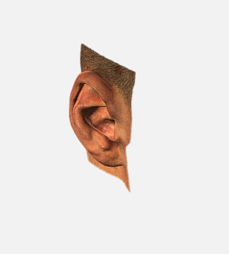 Kulak 3D tarama