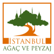 İstanbul Ağaç Aş